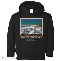 San Juan Puerto Rico Sea Turtle Toddler Hoodie thumb 0