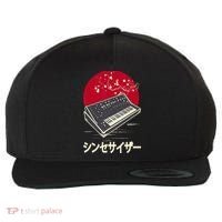 Synthesizer Keyboard Analog Modular Japanese Synth Wool Snapback Cap thumb 0