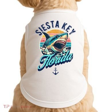 Siesta Key Beach Florida Usa Shark Doggie Tank