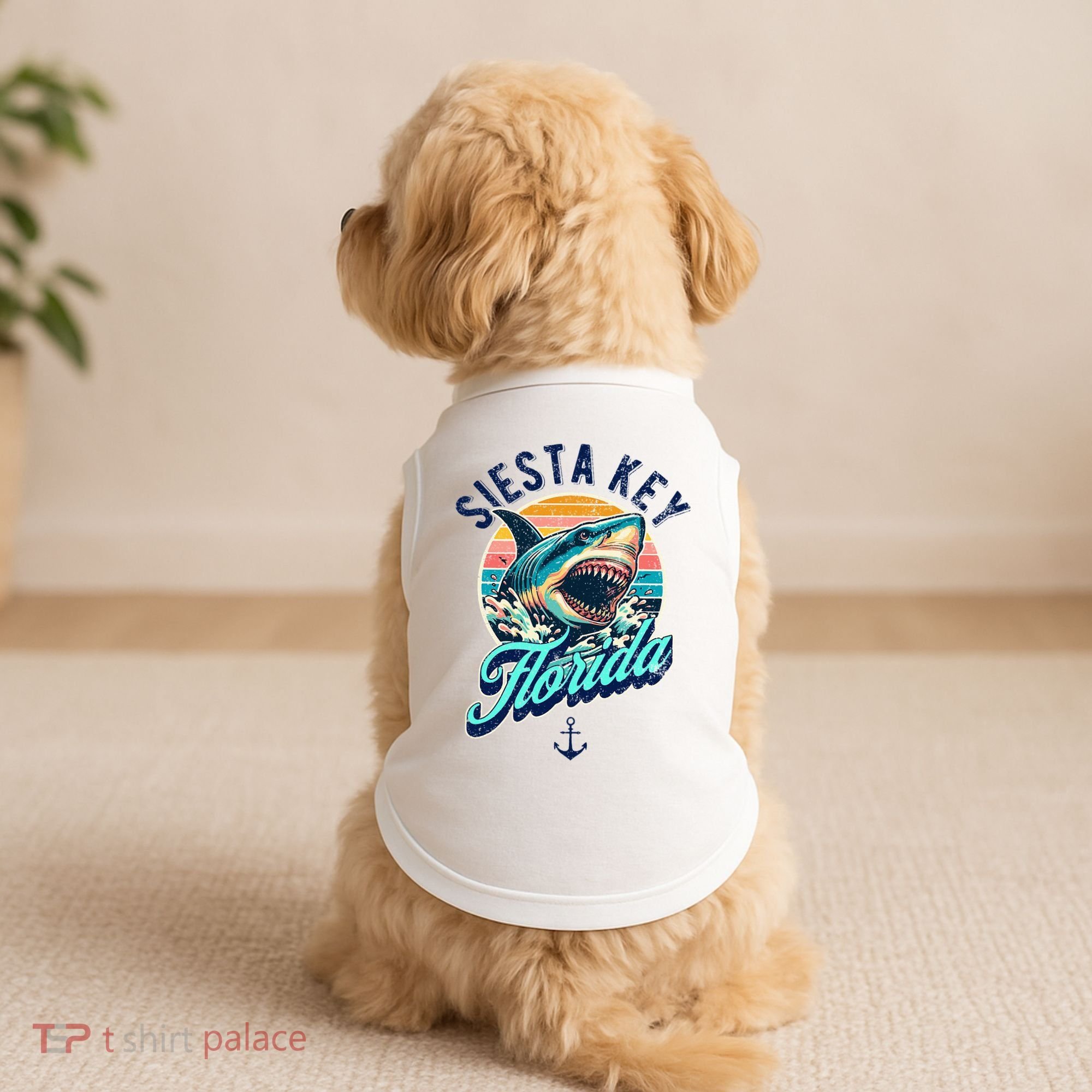 Siesta Key Beach Florida Usa Shark Doggie Tank
