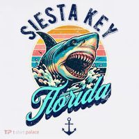 Siesta Key Beach Florida Usa Shark Mousepad thumb 1