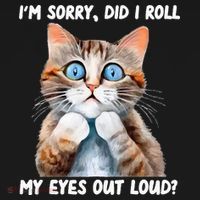 Sarcastic Kitten Did I Roll My Eyes Out Loud Cat Lovers Women's Hoodie thumb 2