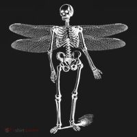 Skeleton Fairy Grunge Ornament thumb 1