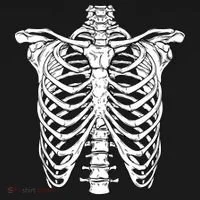 Skeleton Rib Cage Scary Halloween Costume Doggie Tank thumb 4