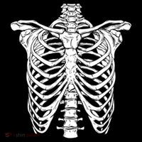 Skeleton Rib Cage Scary Halloween Costume Women's Hoodie thumb 2