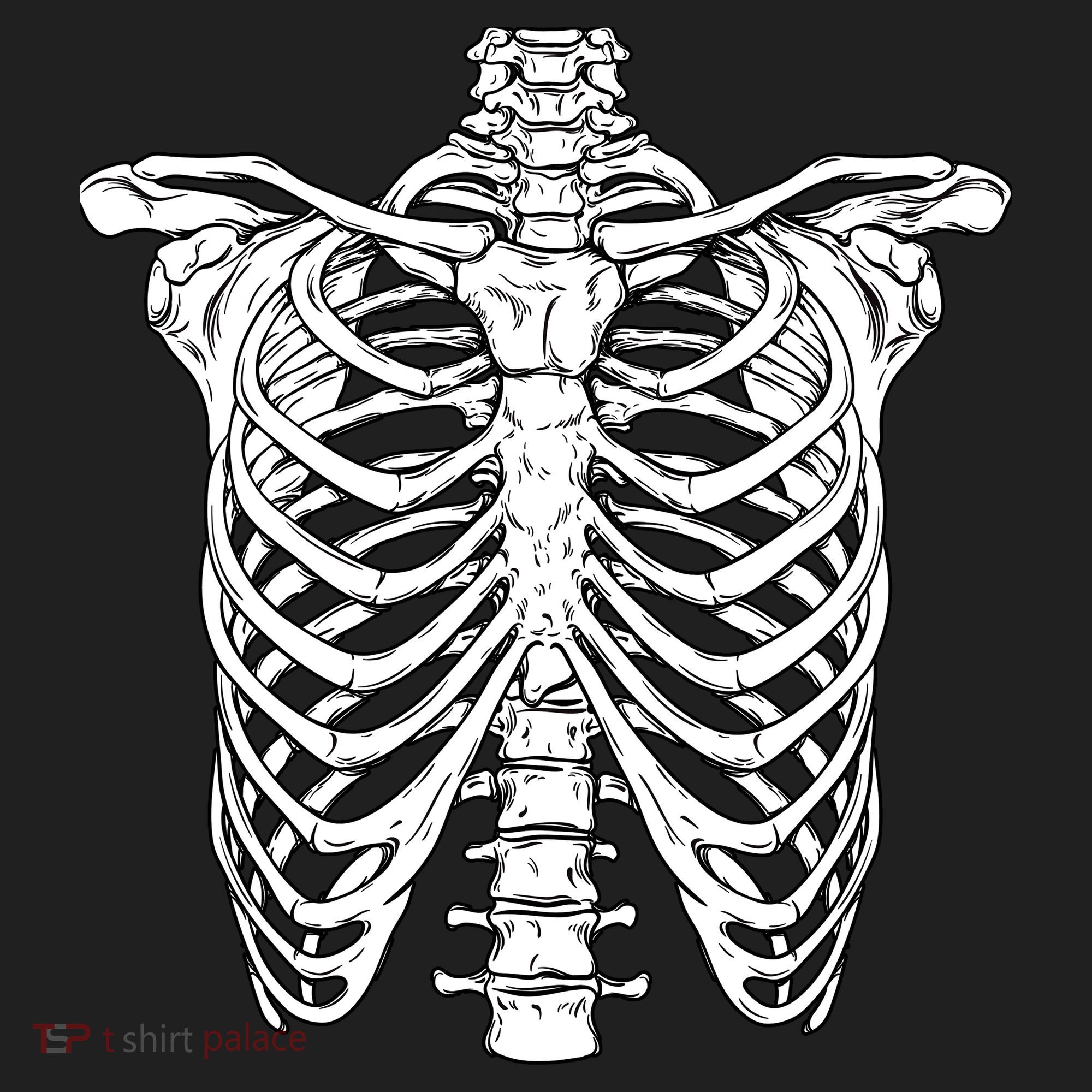 Skeleton Rib Cage Scary Halloween Costume Tumbler