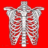 Skeleton Rib Cage Scary Halloween Costume Santa Hat thumb 1