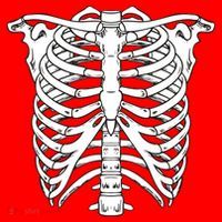 Skeleton Rib Cage Skull Chest Santa Hat thumb 1