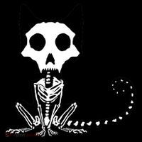 Skeleton X-Ray Cat Day Of The Dead Coffee Mug thumb 5