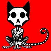 Skeleton X-Ray Cat Day Of The Dead Santa Hat thumb 1