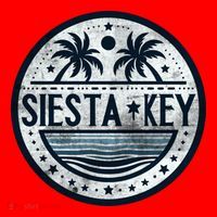 Siesta Key Florida Siesta Beach Fl Beaches Great Gift Santa Hat thumb 1