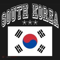 South Korea Patriotic Throwback Flag Souvenir Gift Ornament thumb 1