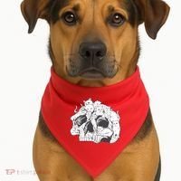 Skull Head With Cats USA-Made Doggie Bandana thumb 1