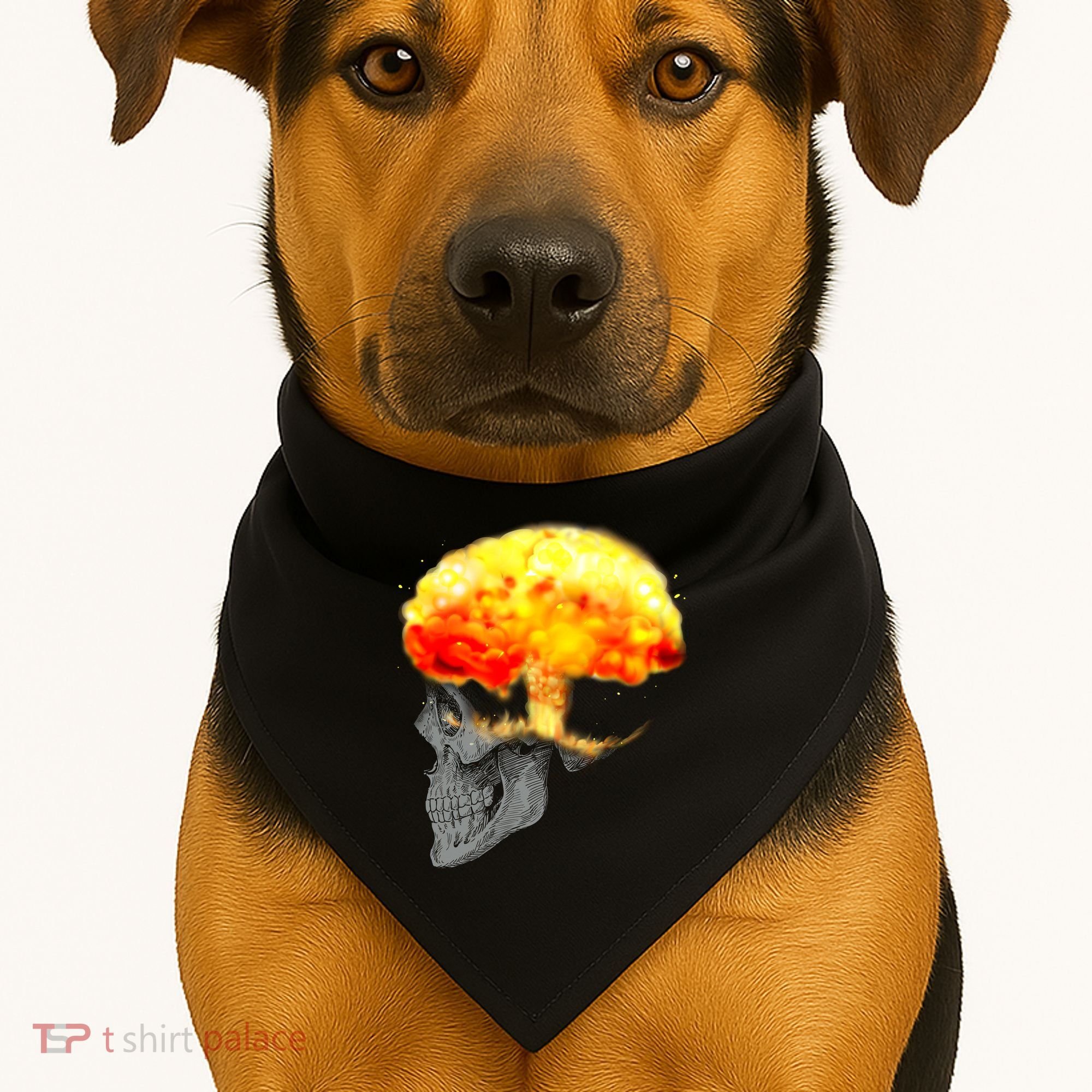 Skull Mind On Fire USA-Made Doggie Bandana