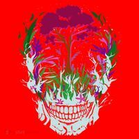 Skull Of Nature Santa Hat thumb 1