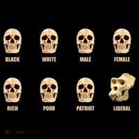 Skulls of Modern America Funny Liberal Monkey Skull Women's Hoodie thumb 2