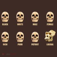 Skulls of Modern America Funny Liberal Monkey Skull Coaster thumb 2