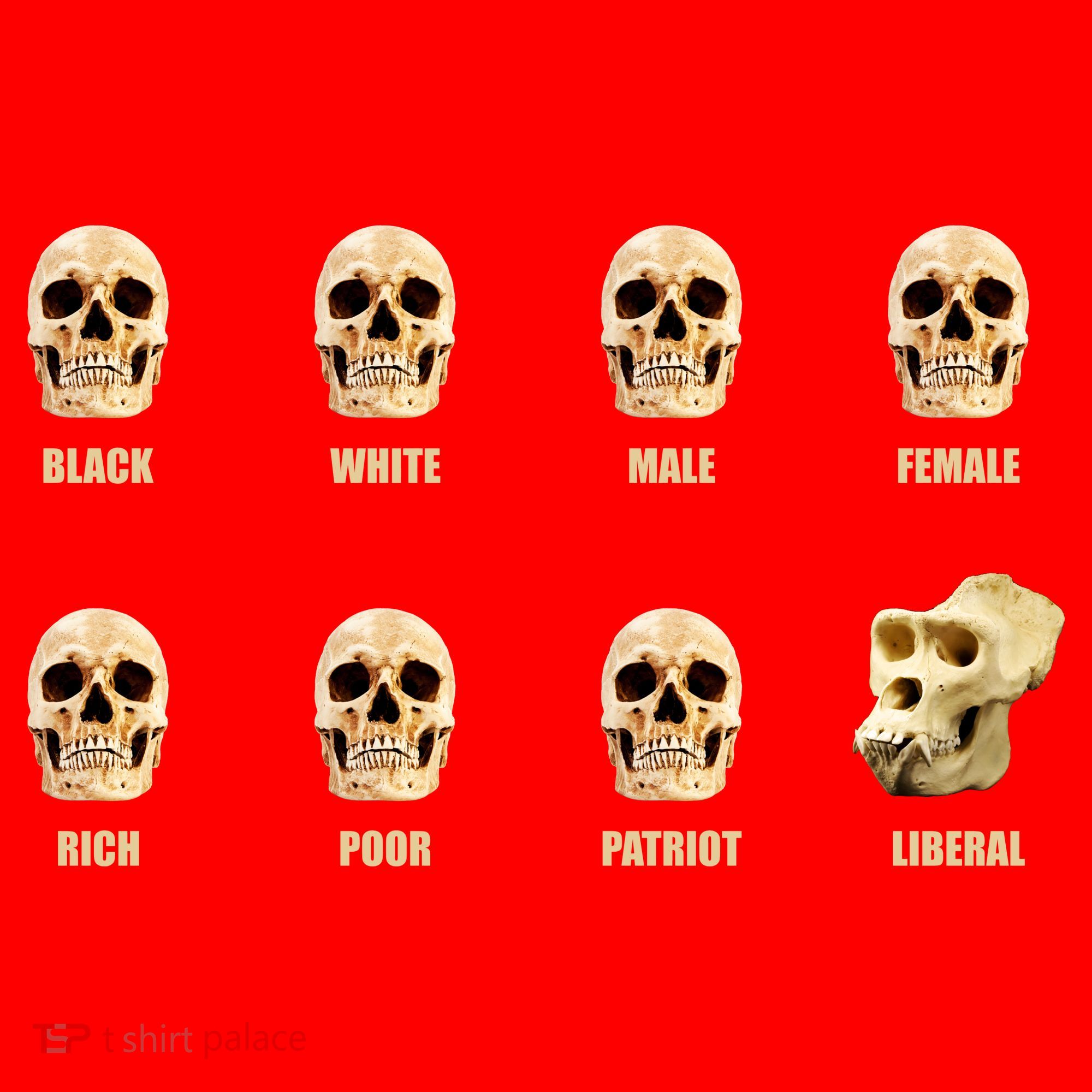 Skulls of Modern America Funny Liberal Monkey Skull Santa Hat