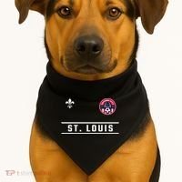 St. Louis 314 Area Code Classic Gateway USA-Made Doggie Bandana thumb 1