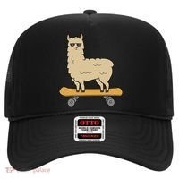 Skateboarding Llama Alpaca Skateboard Llama Hat thumb 0