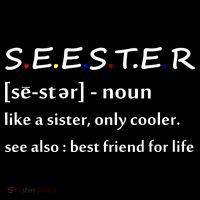 Seester Like A Sister Only Cooler Apron thumb 3