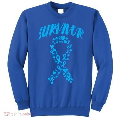 Survivor Light Blue Ribbon Prostate Cancer Awareness Meaningful Gift Sweatshirt
