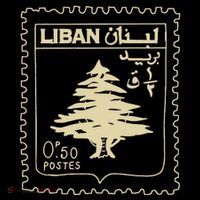 Support Lebanon Beirut Map Lebanese Flag Bucket Hat thumb 4