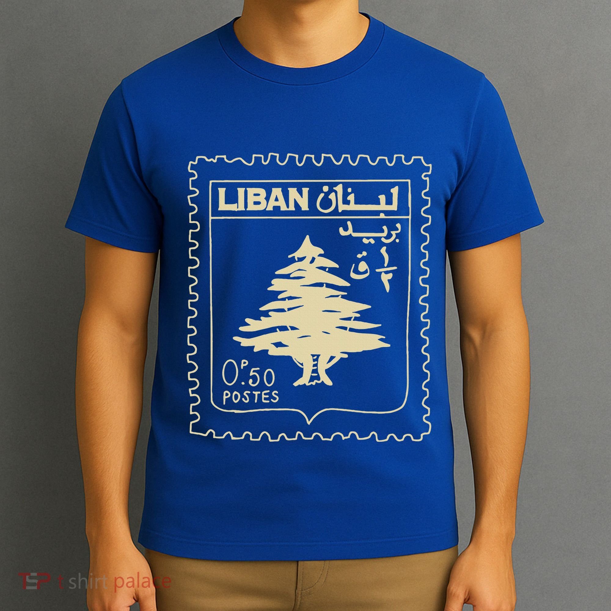 Support Lebanon Beirut Map Lebanese Flag T-Shirt