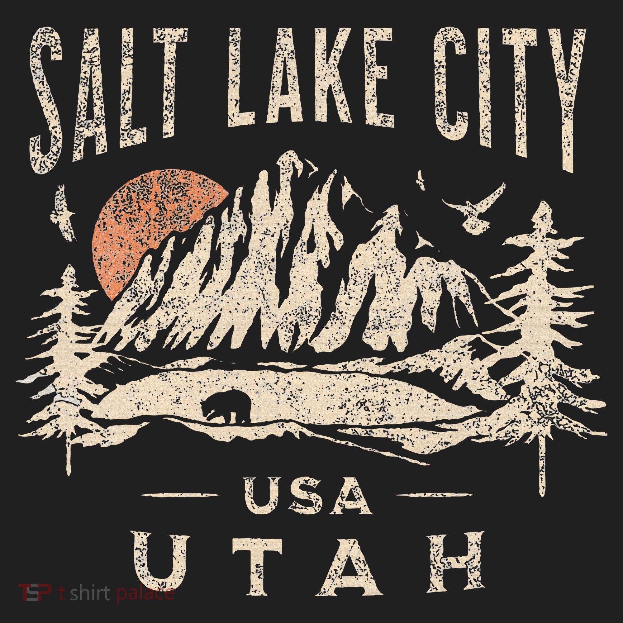 Salt Lake City Hat