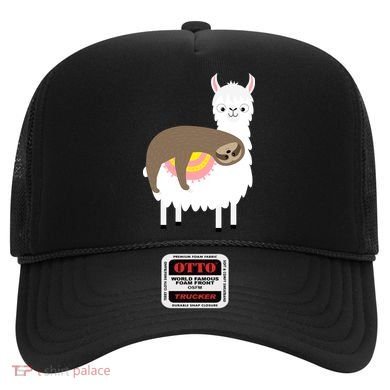Sleeping Sloth On A Llama  Hat