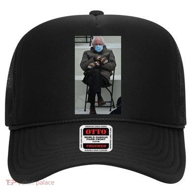 Sleepy Bernie Sanders Mittens Sitting Inauguration Hat