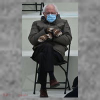 Sleepy Bernie Sanders Mittens Sitting Inauguration Women's T-Shirt thumb 6