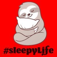 Sleepy Life Sloth Santa Hat thumb 1