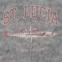 St. Lucia Great Barracuda Toddler Hoodie thumb 2