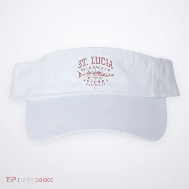 Visor
