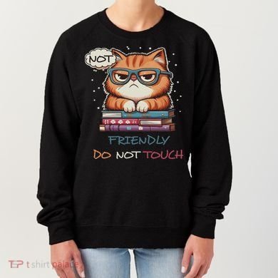 Sarcastic Loner Introvert Not A Friendly Do Not Touchs Women's Sweatshirt
