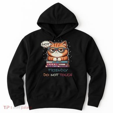 Sarcastic Loner Introvert Not A Friendly Do Not Touchs Hoodie