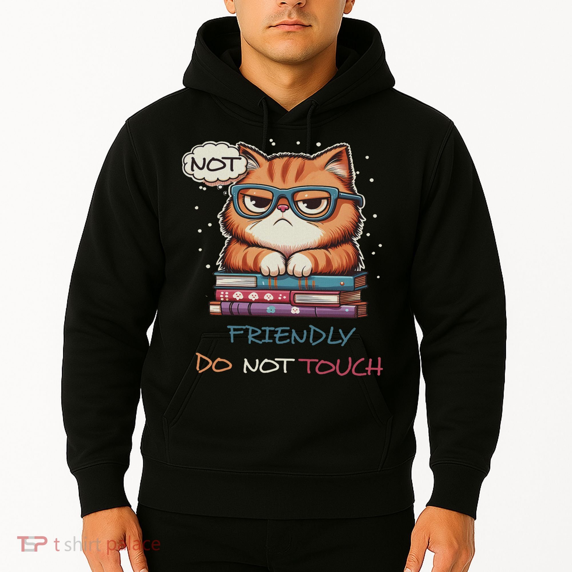 Sarcastic Loner Introvert Not A Friendly Do Not Touchs Hoodie