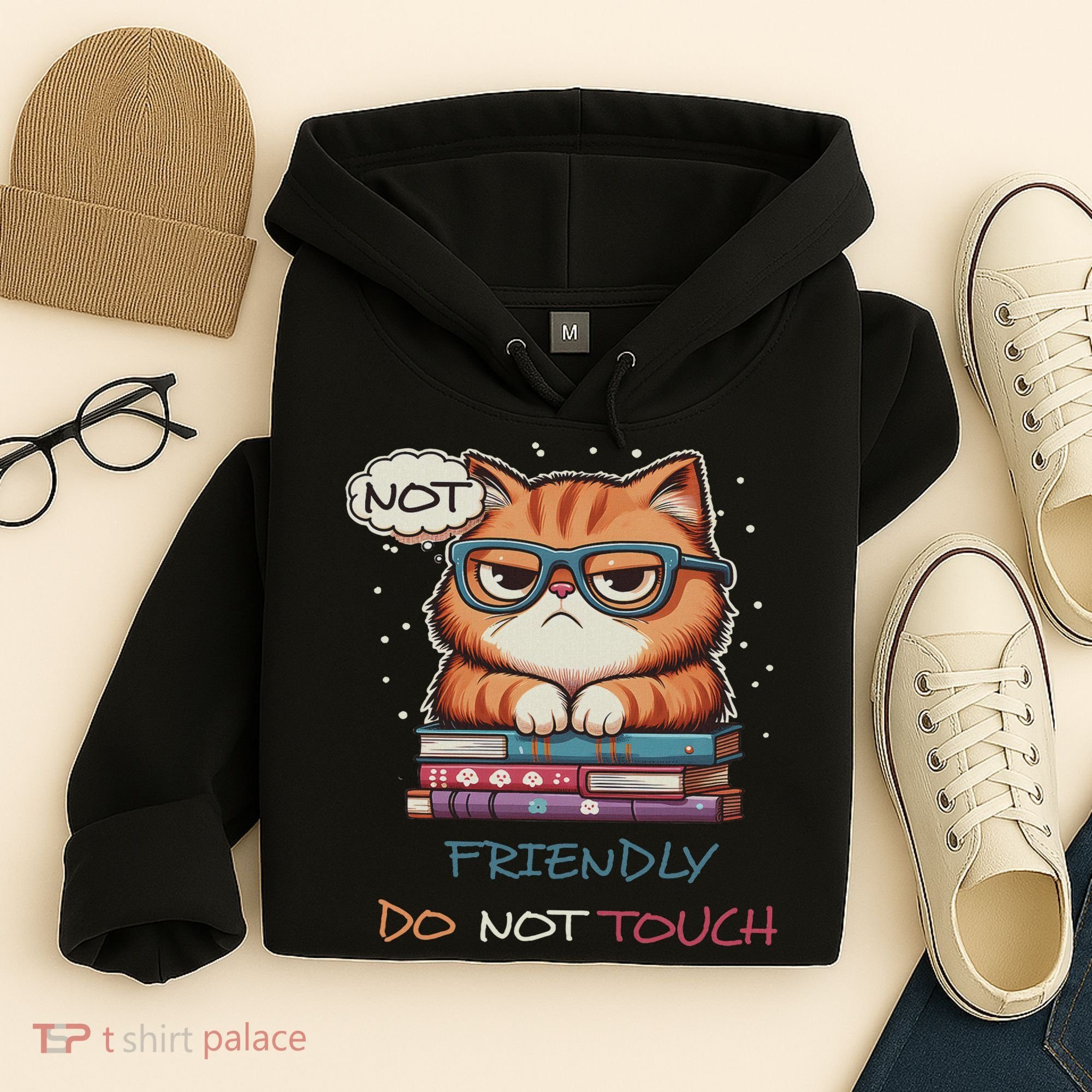 Sarcastic Loner Introvert Not A Friendly Do Not Touchs Hoodie
