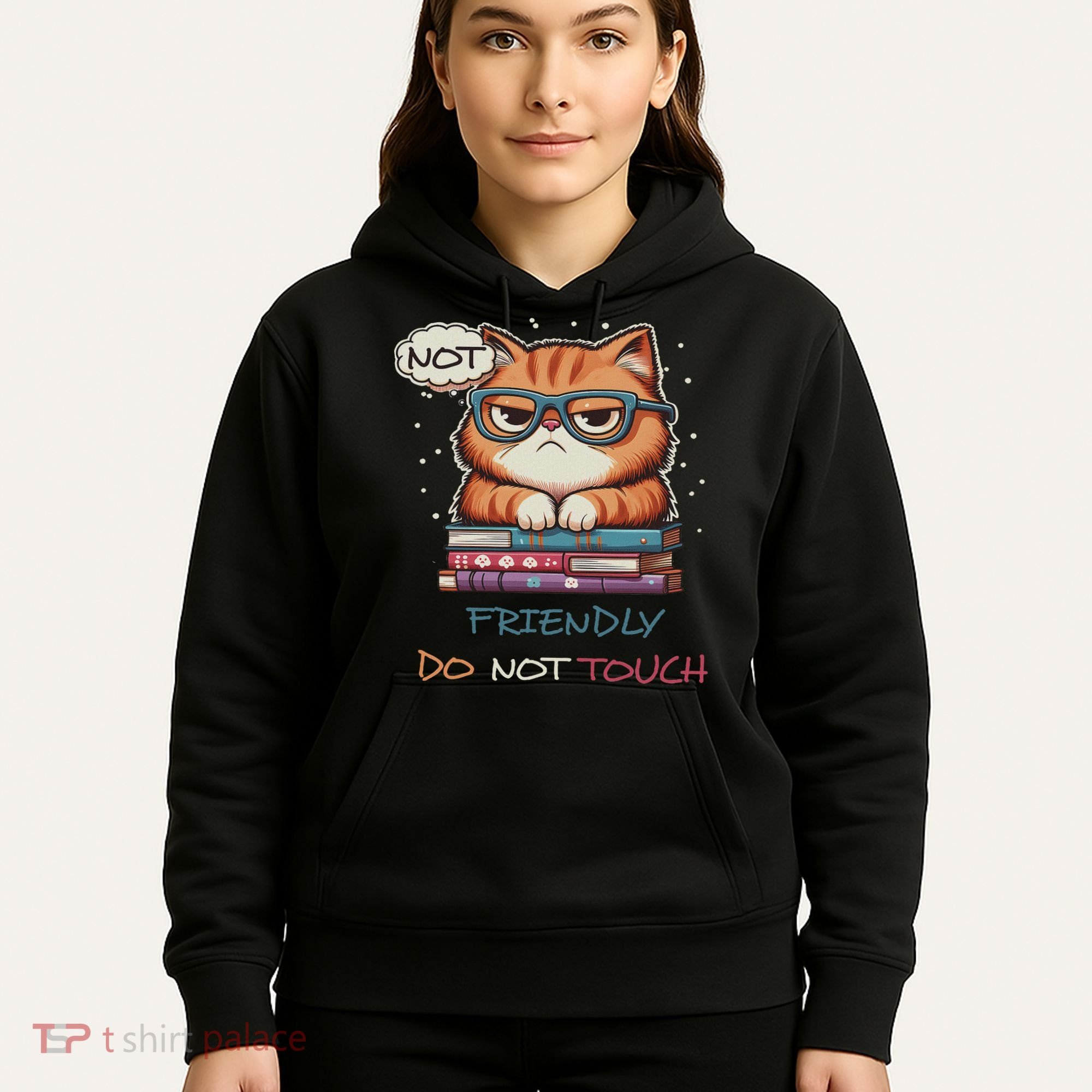 Sarcastic Loner Introvert Not A Friendly Do Not Touchs Hoodie