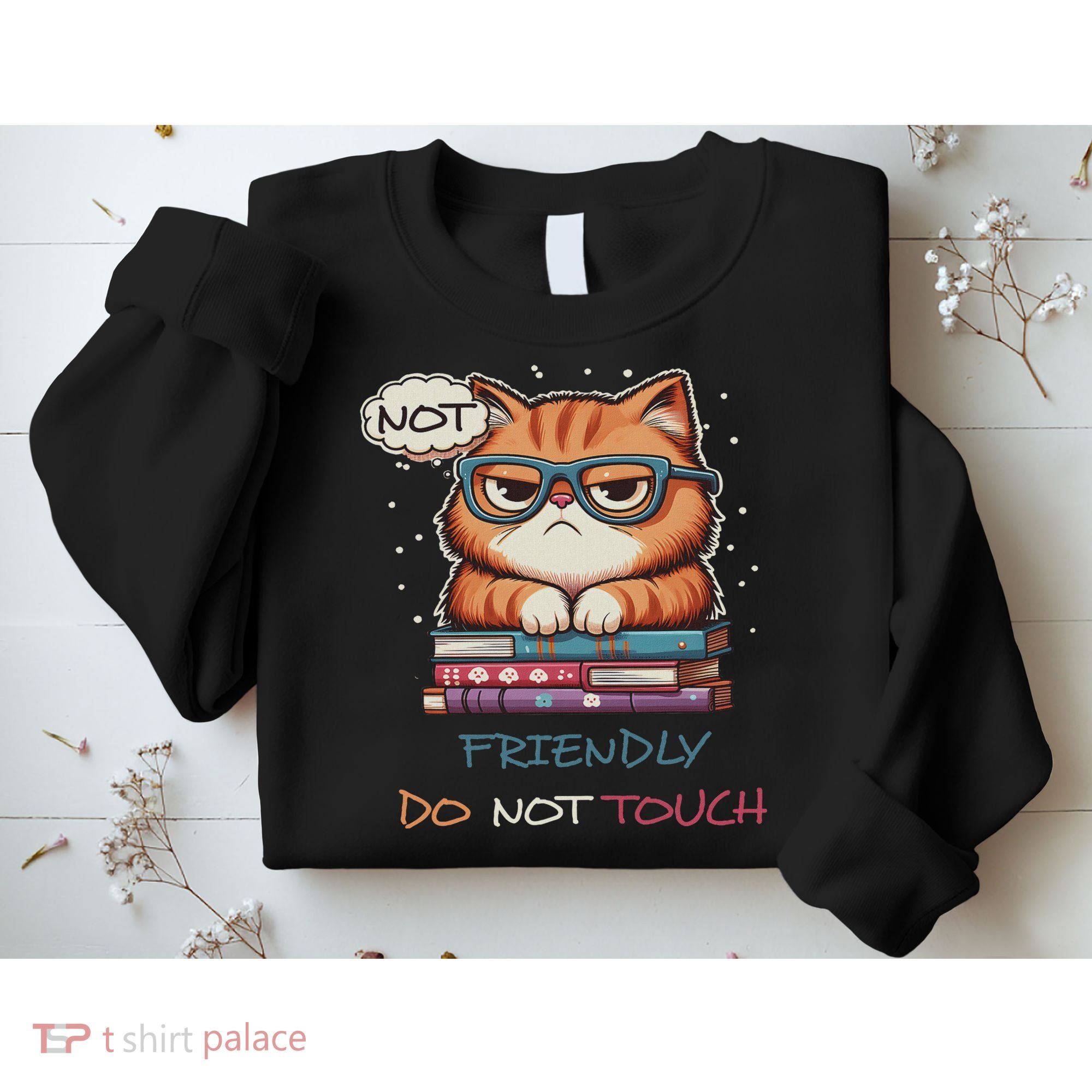Sarcastic Loner Introvert Not A Friendly Do Not Touchs Sweatshirt