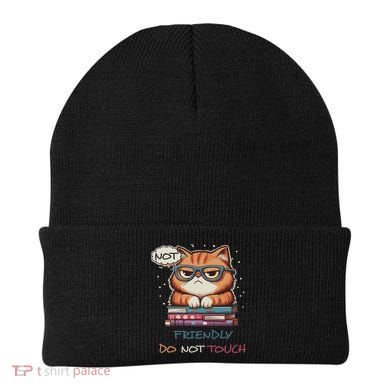 Sarcastic Loner Introvert Not A Friendly Do Not Touchs Beanie