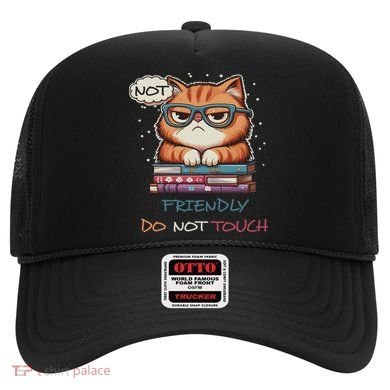 Sarcastic Loner Introvert Not A Friendly Do Not Touchs Hat