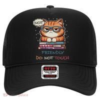 Sarcastic Loner Introvert Not A Friendly Do Not Touchs Hat thumb 0