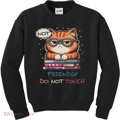 Sarcastic Loner Introvert Not A Friendly Do Not Touchs Kids Sweatshirt
