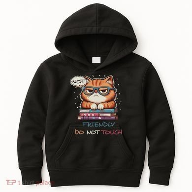 Sarcastic Loner Introvert Not A Friendly Do Not Touchs Kids Hoodie