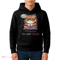 Sarcastic Loner Introvert Not A Friendly Do Not Touchs Kids Hoodie thumb 4