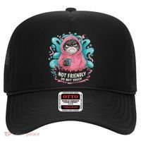 Sarcastic Loner Introvert Clothing Not Friendly Do Not Touch Hat thumb 0