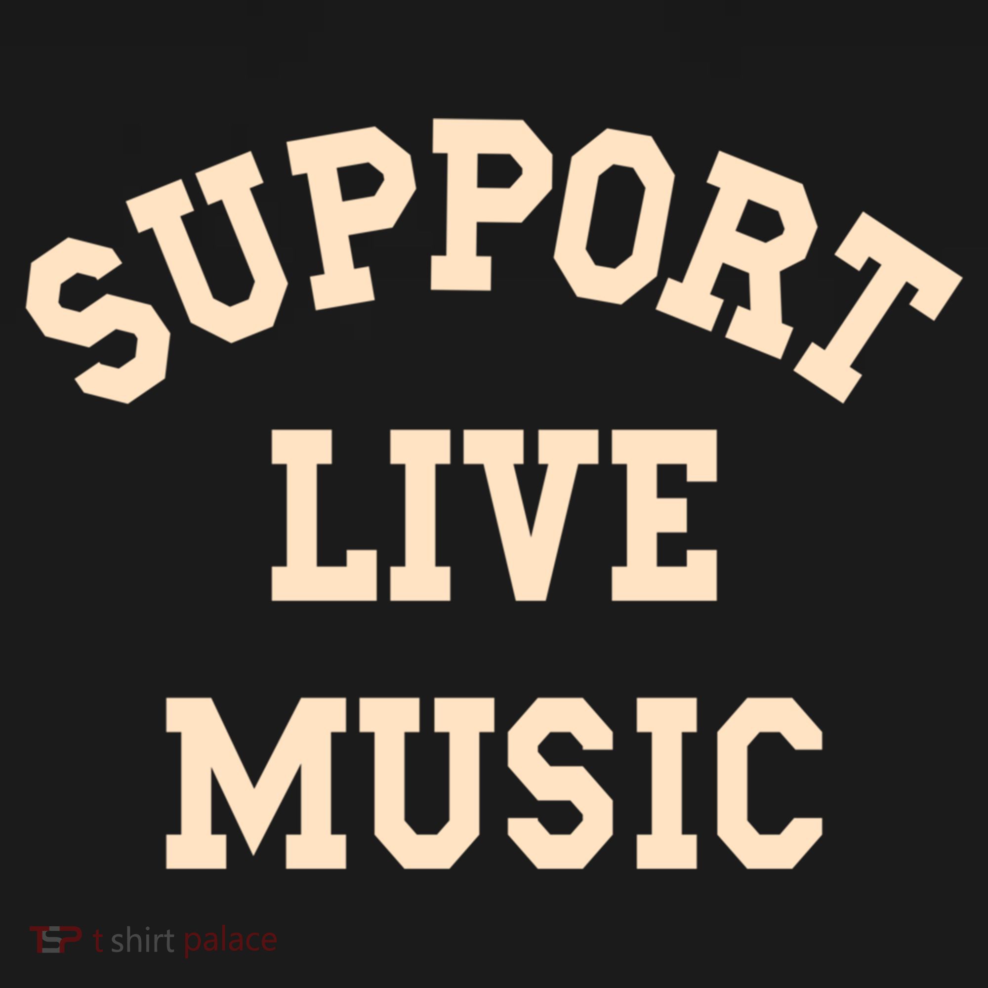 Support Live Music Musicians Concertgoers Music Lovers Gift Women's Hoodie