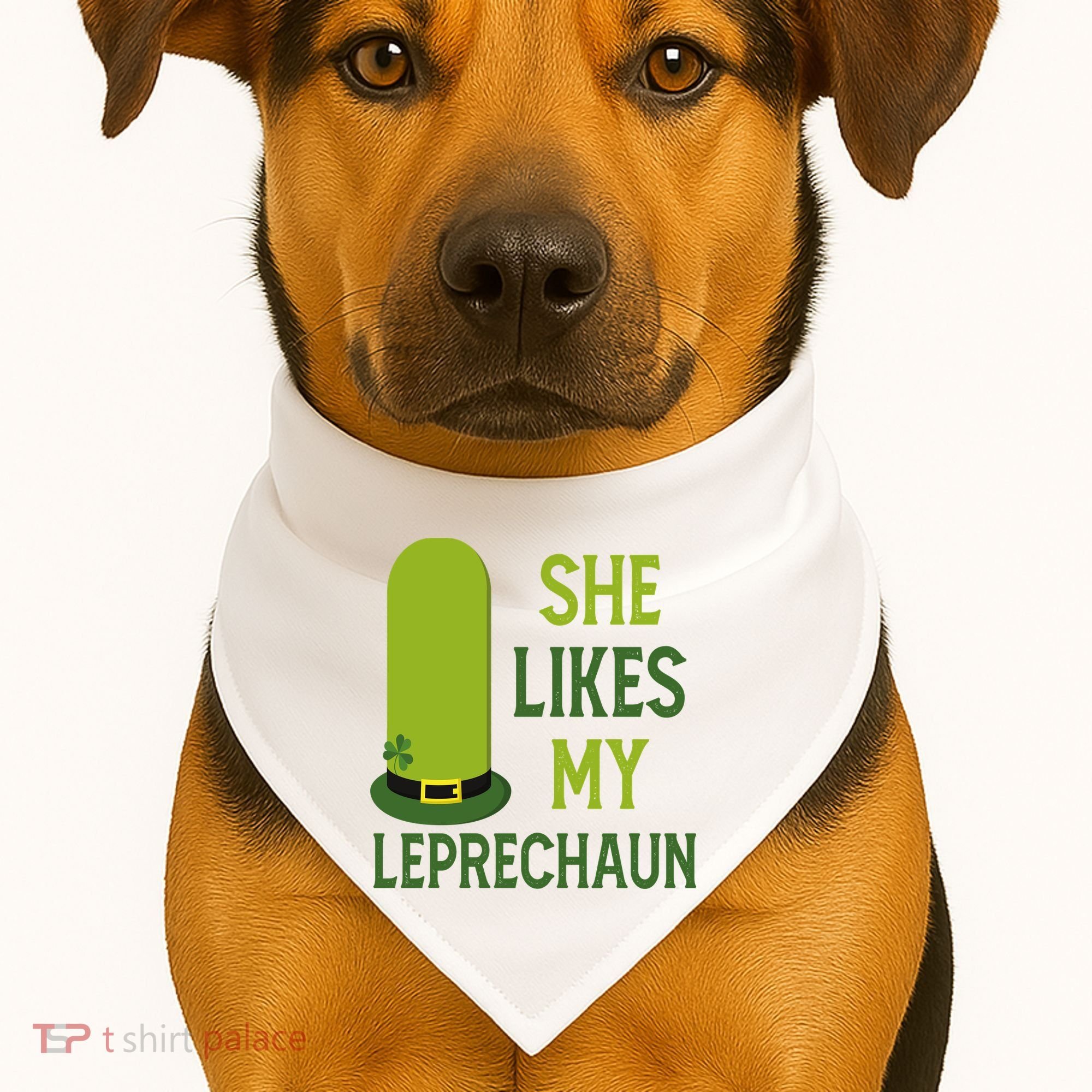 She Likes My Leprechaun Funny St Patricks Day USA-Made Doggie Bandana